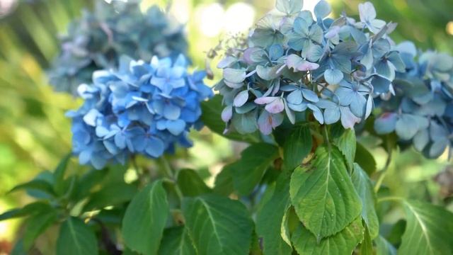 Sony a6400 tamron 17-70 2.8 lens review смотреть онлайн