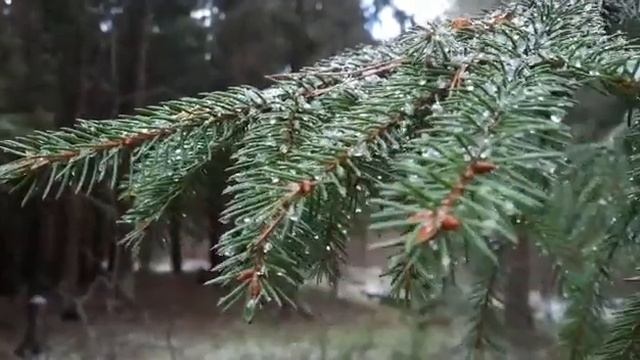 ПСАЛОМ -2 ЦАРЯ ДАВИДА. смотреть онлайн