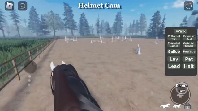 Riding Kosmo for the first time! // Roblox Maple Springs Eventing // Gabi_SylviaTV ? смотреть онлайн