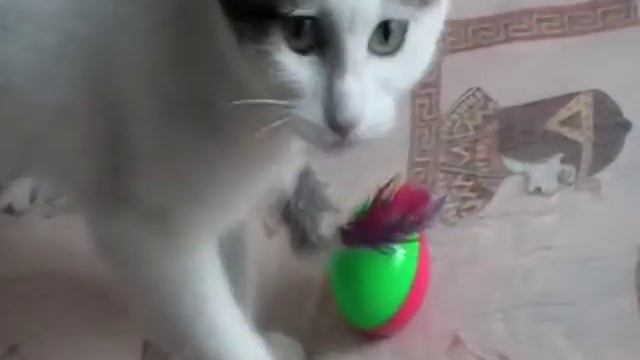 обзор игрушки для кота