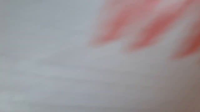 Проект-дача строительство отделка пристройка