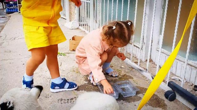 как ПРОХОДЯТ дни на ДАЧЕ✅ на улицах стало ЗАСРАННО✅ игры в ТУРЕЦКОМ садике✅ где ДЕНЬГИ, где ЗОЛОТО✅ смотреть онлайн