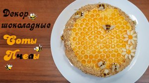 ШОКОЛАДНЫЙ ДЕКОР СОТЫ И ПЧЕЛЫ | Украшение торта и десерта