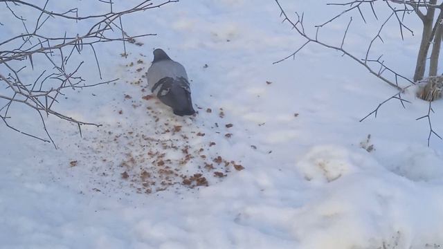 только Бог знает откуда приходит ваш пропитание смотреть онлайн