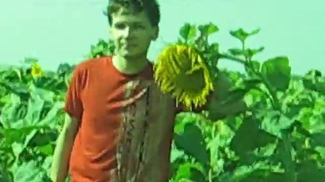 СРЕДИ ПОДСОЛНУХОВ С НЭТАЛИ 2008 В СТЕПИ.AVI смотреть онлайн