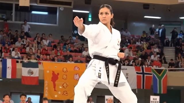 XIII Copa Mundial Gichin Funakoshi Karate-Do JKA 2014