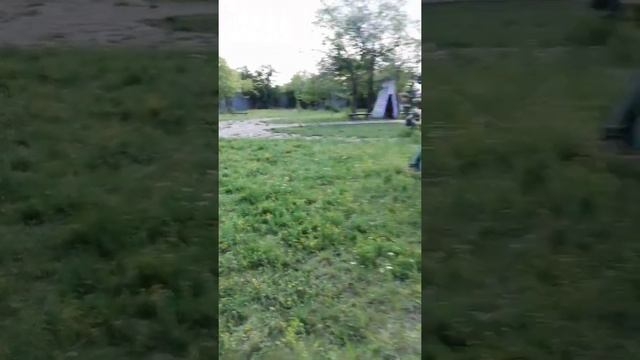 Тиранозавр и удав обыкновенные) смотреть онлайн