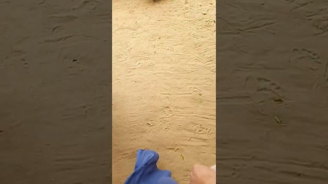 ИНДИЯ СВЯТЫЕ МЕСТА/ ВРИНДАВАН/КАРТИКА/ ПУТЕШЕСТВИЕ смотреть онлайн