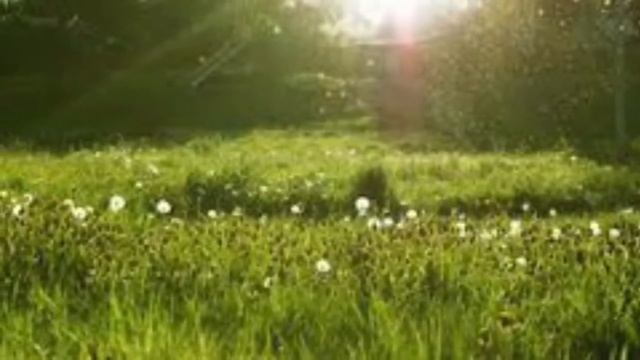 Марафон Изобилия День 1 Английская оригинальная версия смотреть онлайн