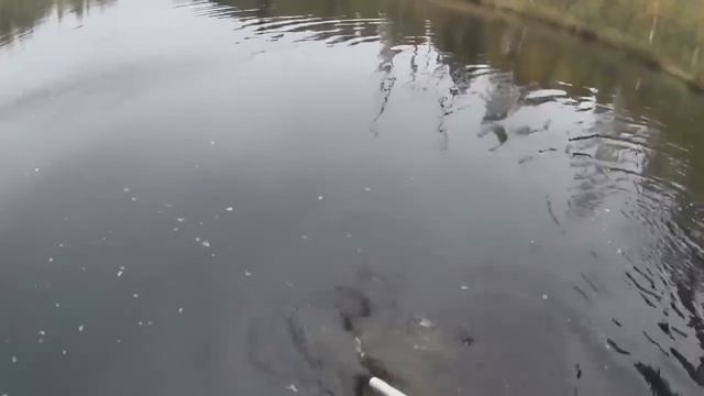 Не очень удачная рыбалка - продолжение. Спасение лодки смотреть онлайн