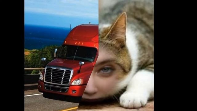 мадамЕ в ШЛЯПЕ смотреть онлайн