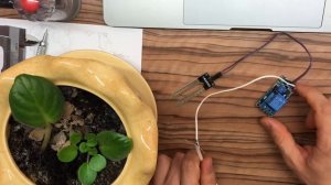 Датчик влажности почвы для автополива