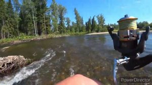 Рыбалка на  хариуса ! В горной реке ! хариус на бомбарду,хариус 2021