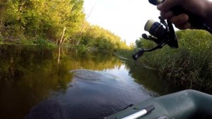 Голавль на Ультралайт. Рыбалка на Ультралайт. Ловля Головля