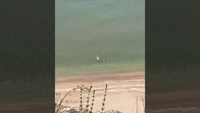 Казантипский залив, Азовское море смотреть онлайн