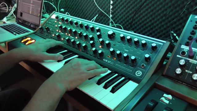 Moog Sub 37: why you need one... смотреть онлайн
