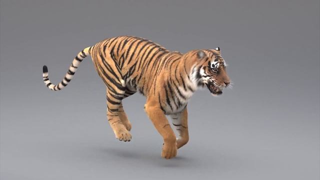 Cyber Tiger Video How To смотреть онлайн