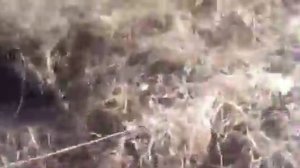 Как правильно сгребсти сухую траву (на даче)