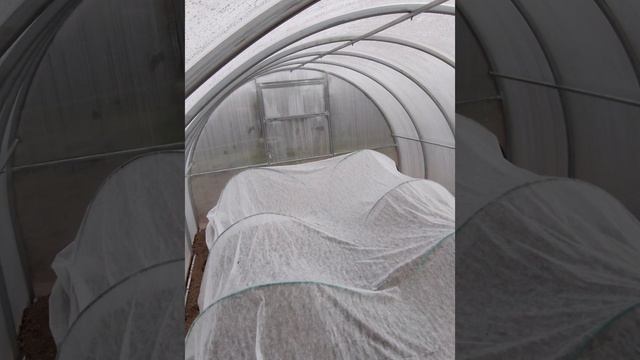 Моя дача. Начало истории.Покупка заброшенной дачи. Этапы восстановления. Постройка бытовки, забора смотреть онлайн