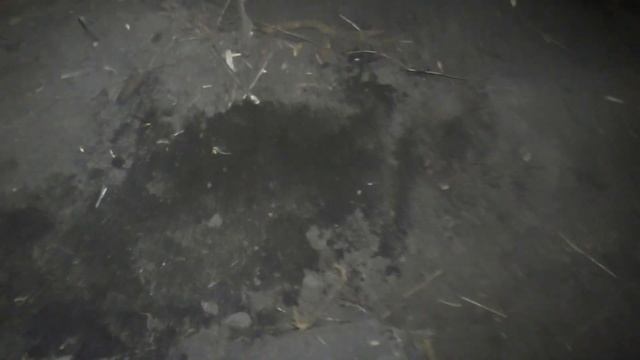 НА ЛУГОВИНЕ ЕСТЬ НАХОДКИ!!! КОПАЕМ РАЗРАБОТКУ НОВЫХ МЕСТ ПОД РАСПАШКУ!!! КОП С GARRETT APEX!!! смотреть онлайн