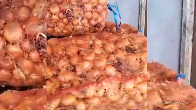 Лук Штутгартер проблемы и ожидания ? смотреть онлайн