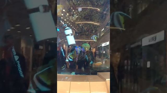 Москва,ТЦ.Авиапарк смотреть онлайн