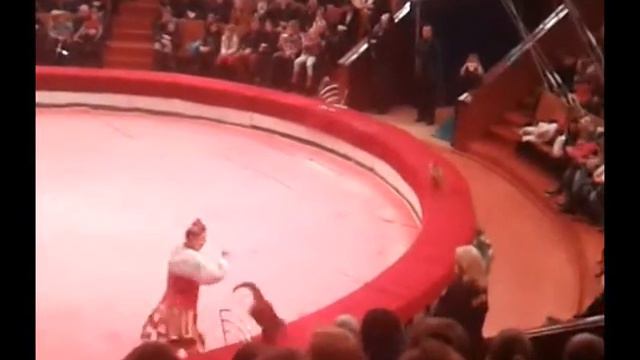 цирк Территория риска 31 01 2016 смотреть онлайн