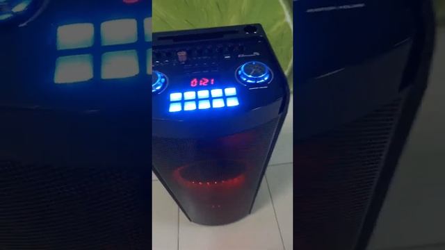 Портативная колонка Eltronic 20-15 смотреть онлайн