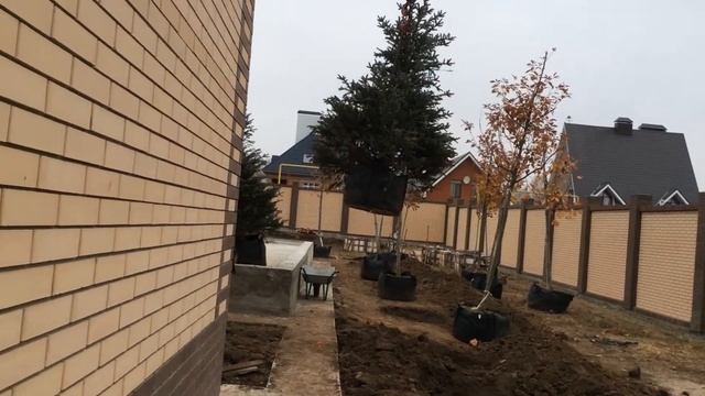 Зимняя посадка крупномеров 1