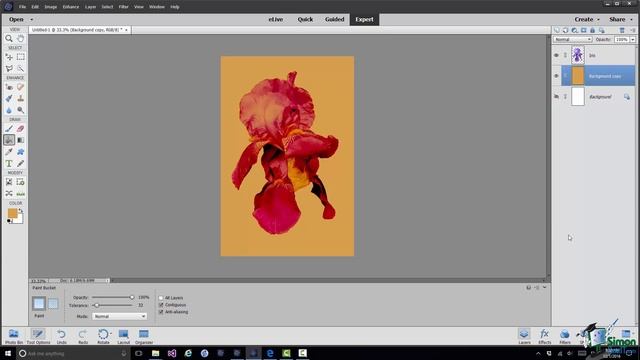 How to Use Blending Mode Using Layers in Adobe Photoshop Elements 15 - Part 5 смотреть онлайн