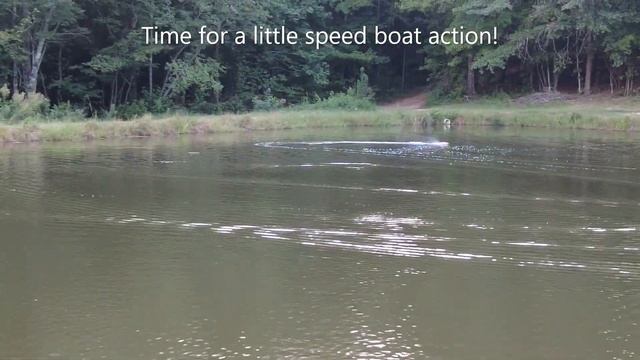 Trying out our new inflatable row boat. Bonus footage of our adorable rescue kitten, Katniss. смотреть онлайн