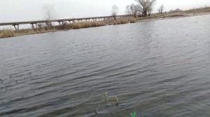 Рыбалка на реке Аксай 2020!!! Рыбалка возле Матвеевского моста!!! Ловля крупного карася на фидер!!!