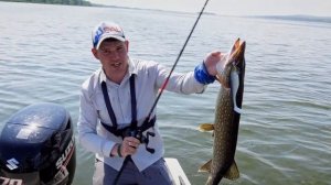 Ловим щуку на крупный силикон! Как и чем ловить на свимбейты? | ВихровLIFE