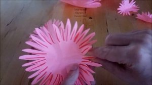 Как сделать пион из бумаги. Простая поделка-цветы своими руками