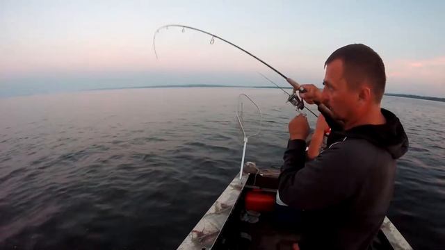 Рыбалка на Днепродзержинском водохранилище ловля хищника смотреть онлайн