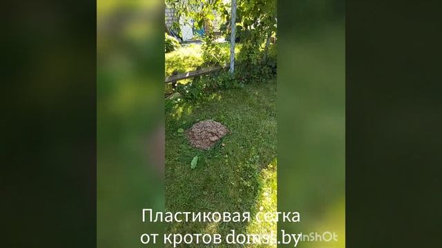 Пластиковая сетка от кротов - эффективный способ защиты вашего газона. смотреть онлайн