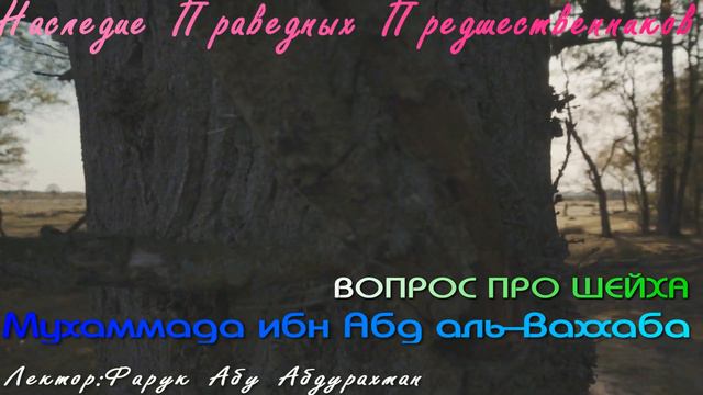 ВОПРОС ПРО ШЕЙХА Мухаммада ибн Абд аль Ваххаба