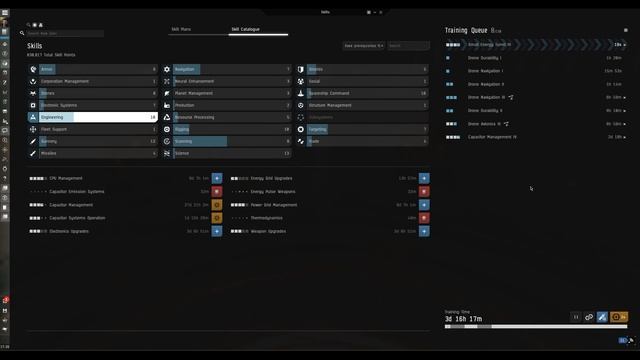 Eve Online What's the BEST Early Game Purchase for an Alpha, if you want to make one? + COOL skins смотреть онлайн