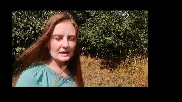 История мавзолея Ленина смотреть онлайн