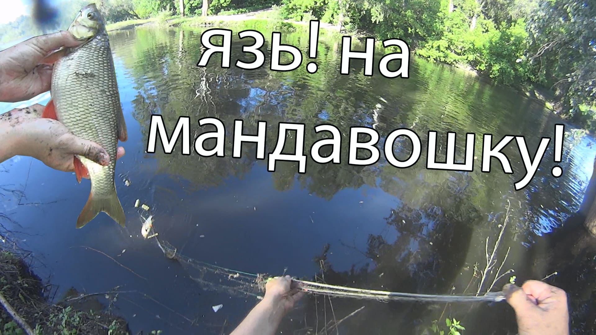 Рыбалка на сети мандавошки! Лодка не нужна! Ловля язя и подлещика! смотреть онлайн
