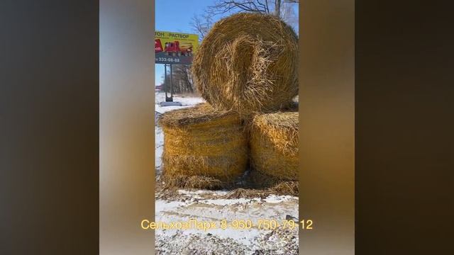 Бизнес по Деревенски | Сено в пакетиках | пресс-подборщик Sipma