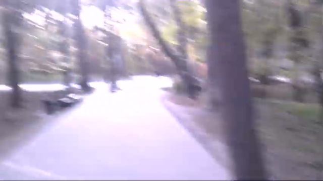 Парк 23.04.2018. Всё цветёт и пахнет))) смотреть онлайн