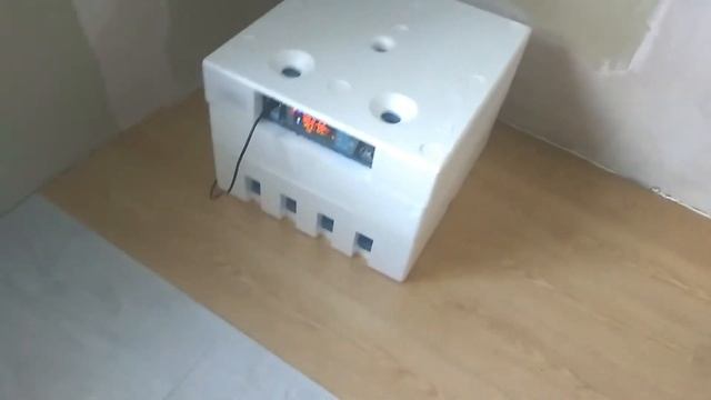 Ловушка для муравьев смотреть онлайн