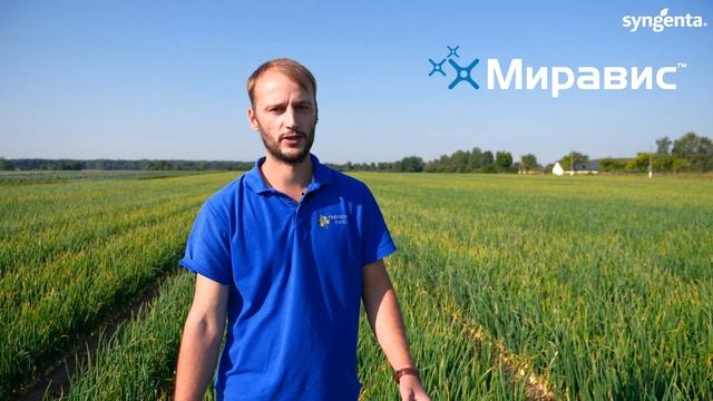 Новая система защиты лука продуктами компании Сингента смотреть онлайн