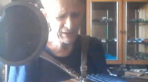 далеко журавли улетели! гармонь