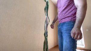 Формирование растения Питахайя.(Драконий фрукт). Активная вегетация.