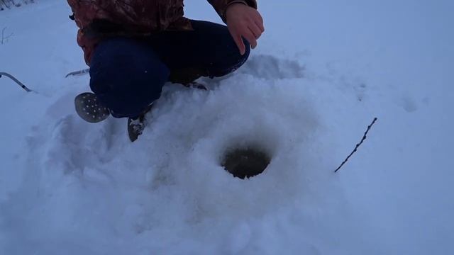 Зимняя рыбалка на Волге. Пошли на судака, а поймали налима! смотреть онлайн