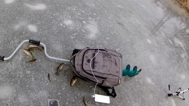 Рыбалка в Самаре. Где в Самаре ловят крупного ротана