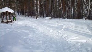 Тропа здоровья в "Солнечной долине" ( 10 марта - 2022 )