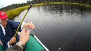 Август. Карелия. Секретная ламбушка. Рыбалка на удочку.